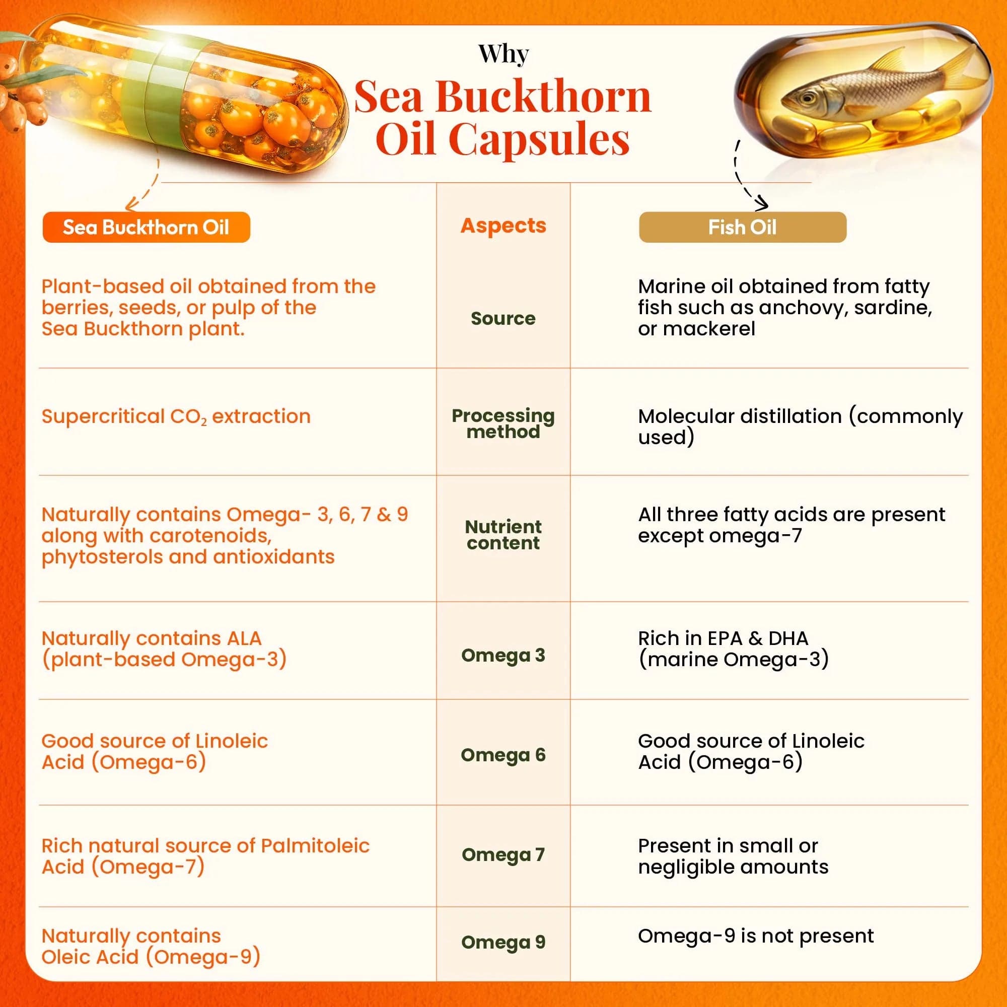 SBT Oil Capsule 6
