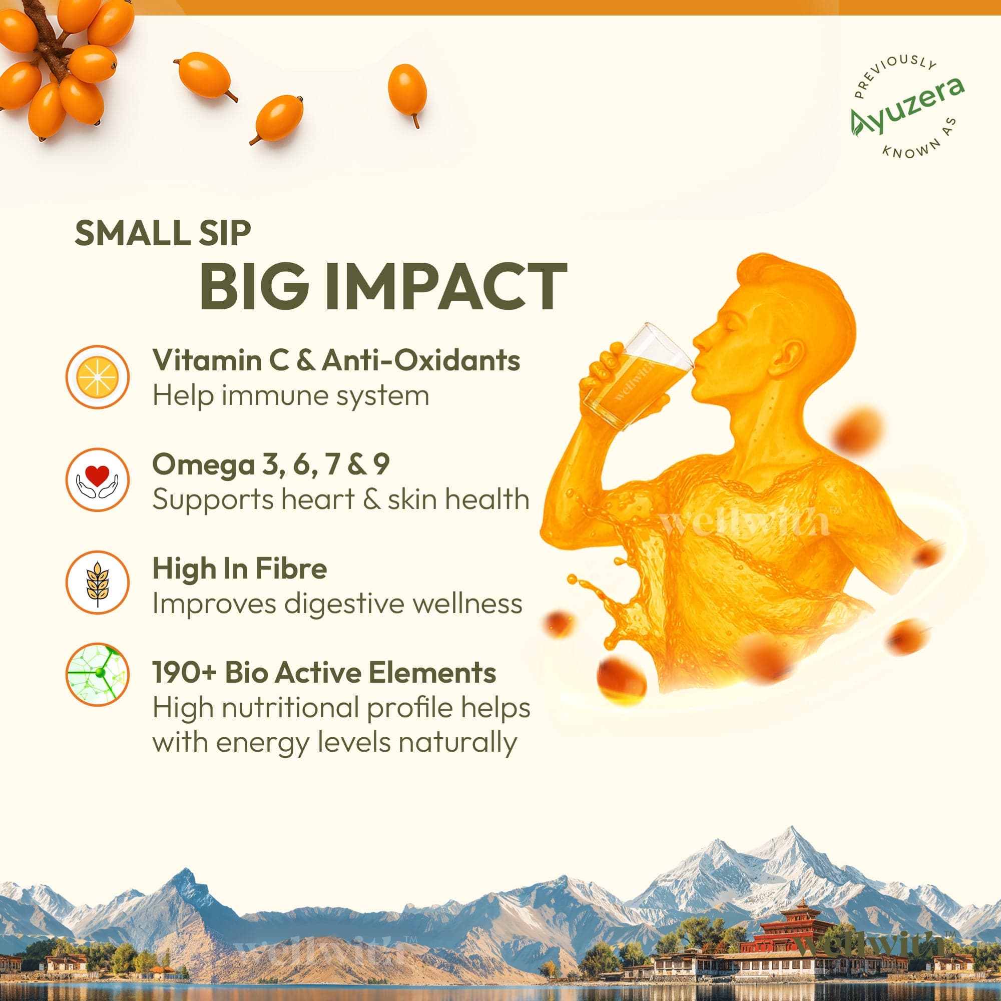 SBT Juice (Pulp) 300ml 6
