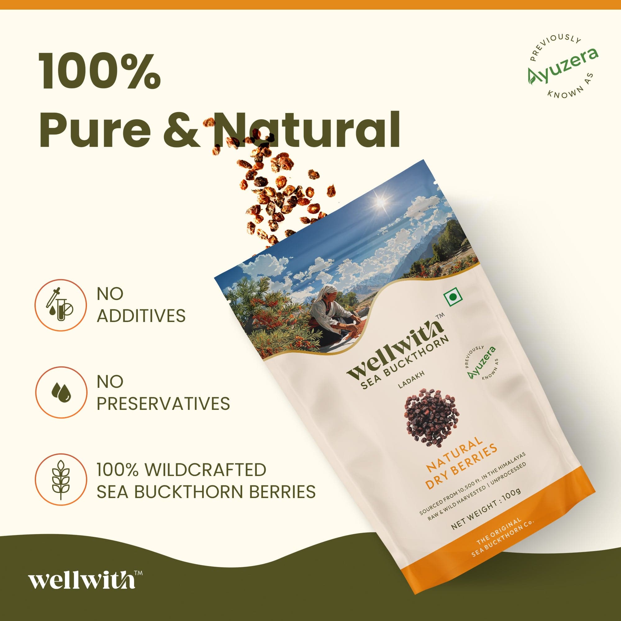 SBT Dry Berry 100gm 4