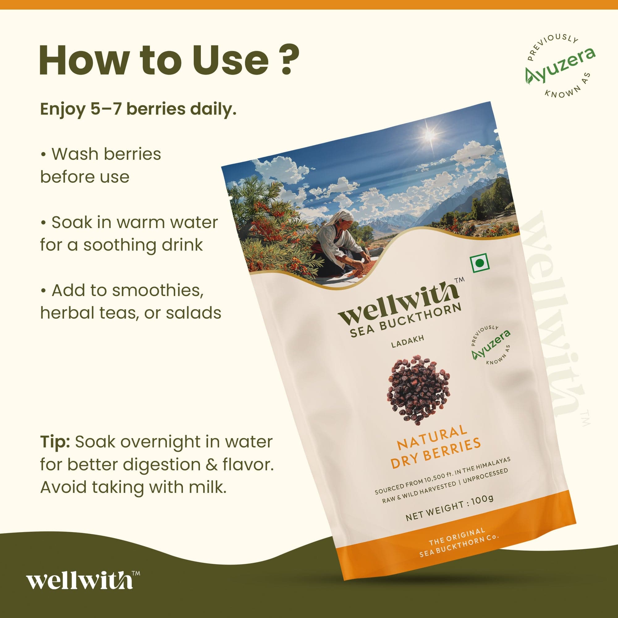 SBT Dry Berry 100gm 6
