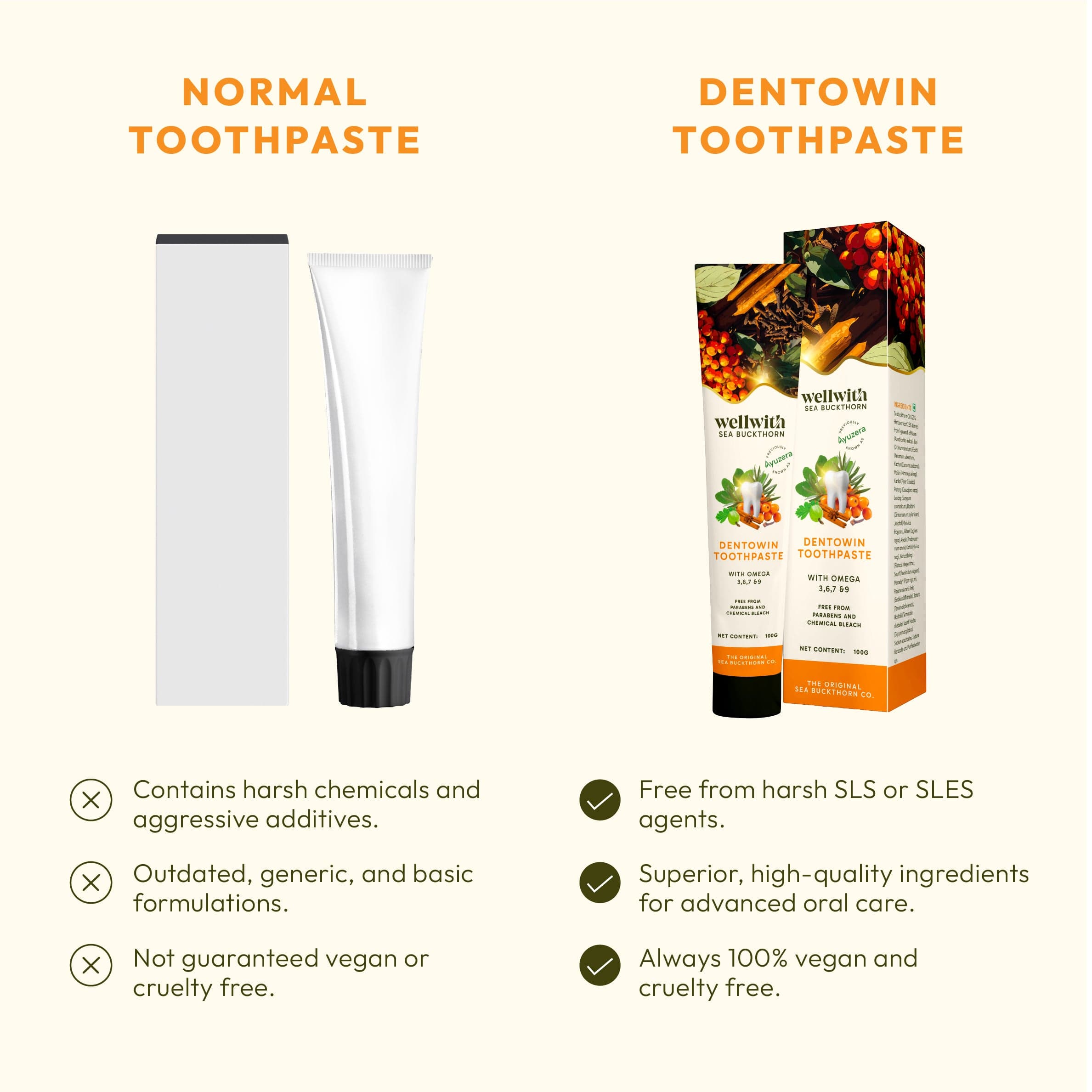Dentowin SBT Herbal Toothpaste 100gm 6
