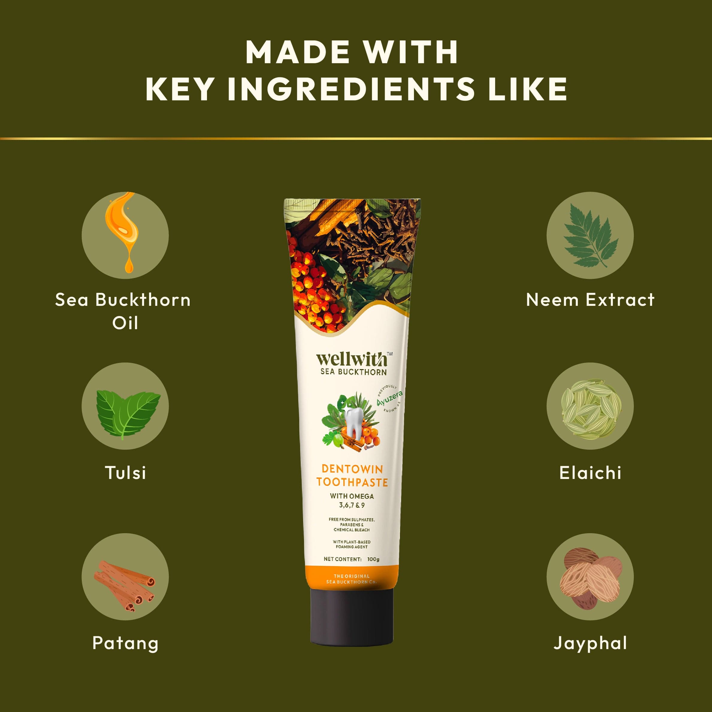 Dentowin SBT Herbal Toothpaste 100gm 7